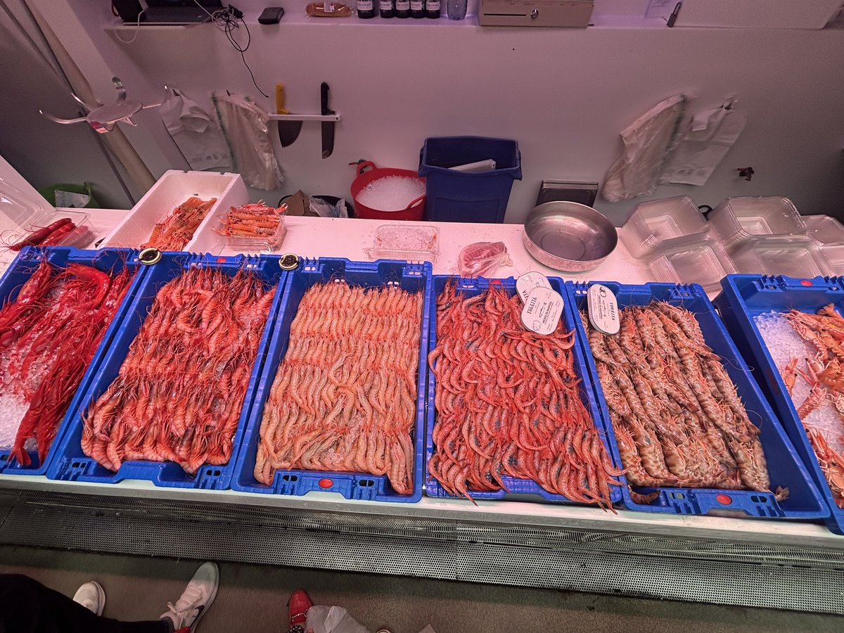 Parece que han gustado  las quisquillas son del Museo del Mar en el mercado central de Atarazanas. Pura fantasia