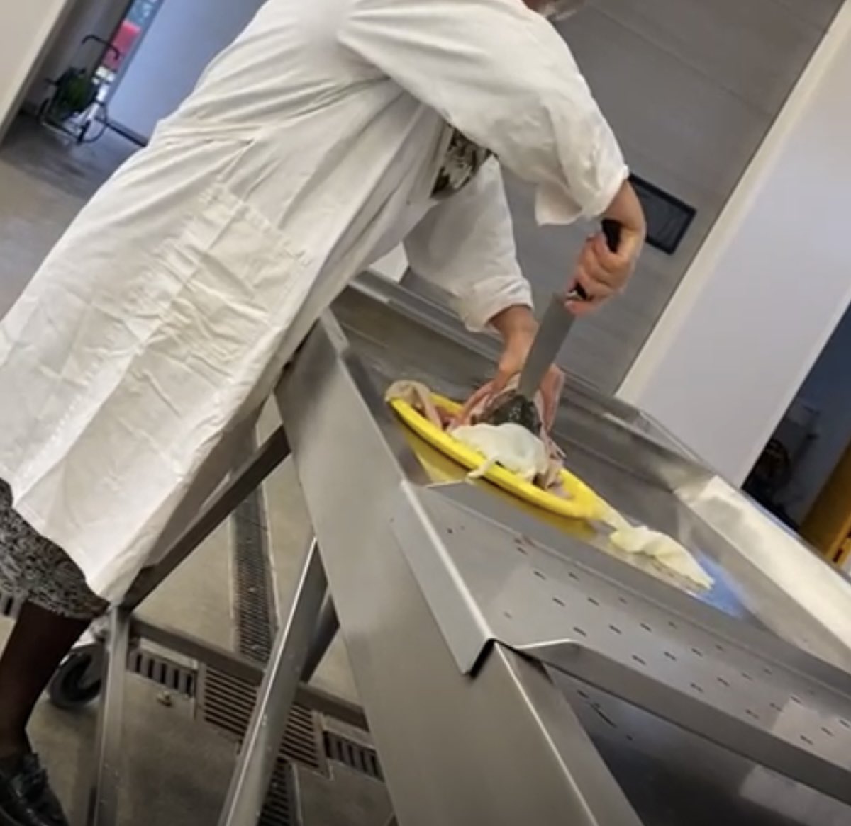 Przed krakowskim sądem rozpoczął się proces wykładowczyni <a href="/UR_Krakow/">Uniwersytet Rolniczy</a> oskarżonej o znęcanie się nad rybami. Kobieta odcinała im głowy w trakcie zajęć z chorób ryb, bez wcześniejszego ogłuszenia. Studenci opublikowali drastyczne nagrania w internecie <a href="/RadioZET_NEWS/">Radio ZET NEWS</a>