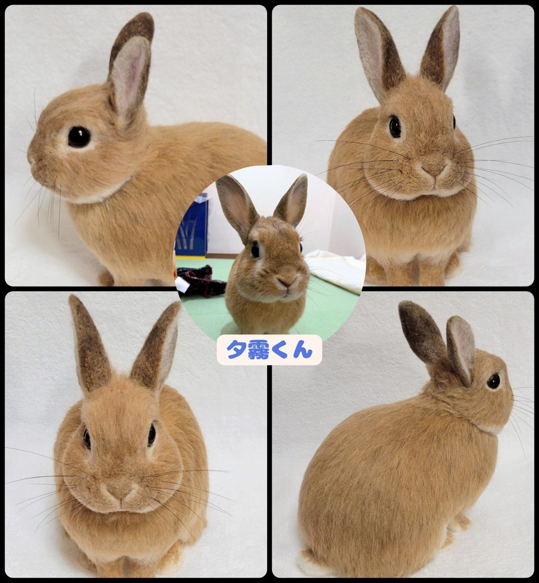 【確認用】鴉の子✽羊毛フェルト 緒方伶香 | 新しいオンラインフェスティバル・もみじ市