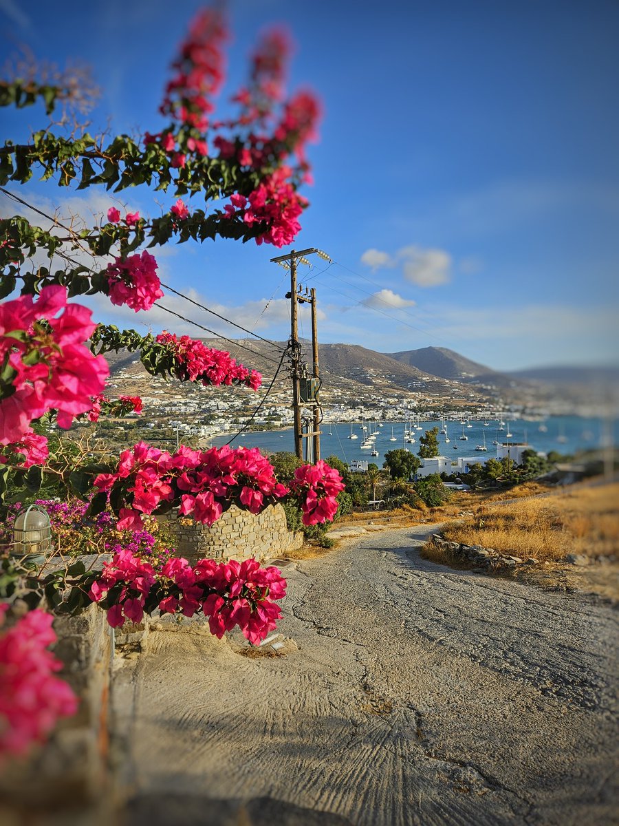 BrunoLauper's tweet photo. Paros Greece 🇬🇷
September 2025
•
#paros #parosisland #krotiri
#krotiribay #parikia
#greece #griechenland
#visitparos #cat #relax
#samsung #galaxy23
#tiltshift #miniatureeffect https://t.co/G5nZZmYQ5N