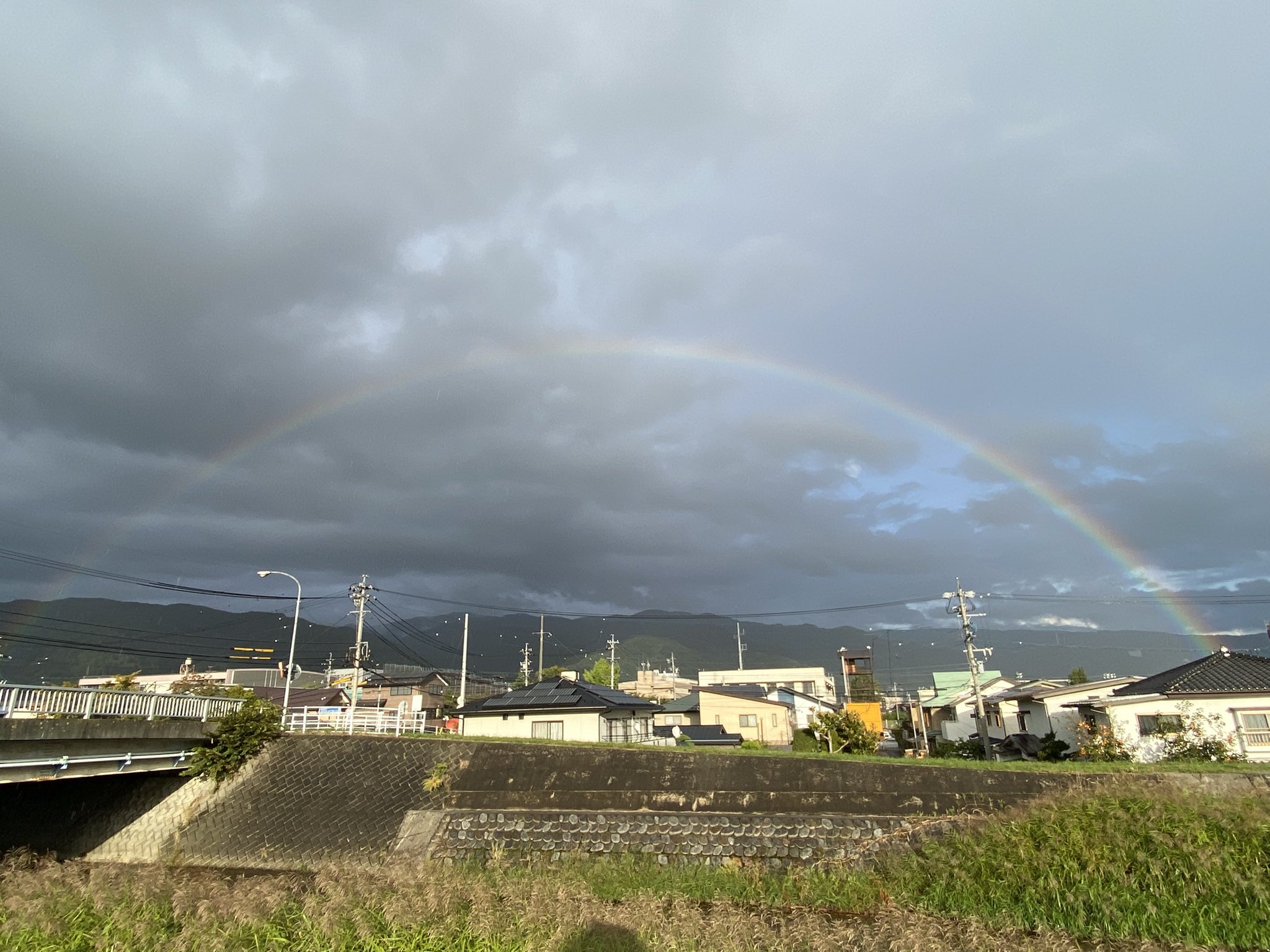 早起きさん on X: 