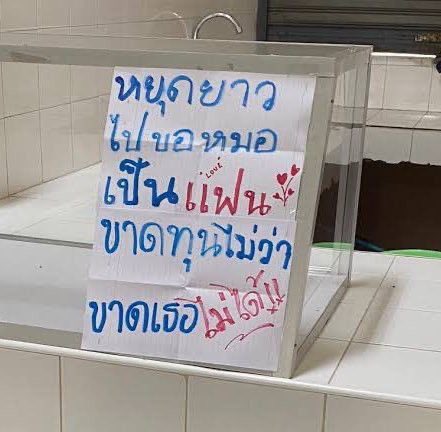 ณคร •͈౿•͈ tweet media