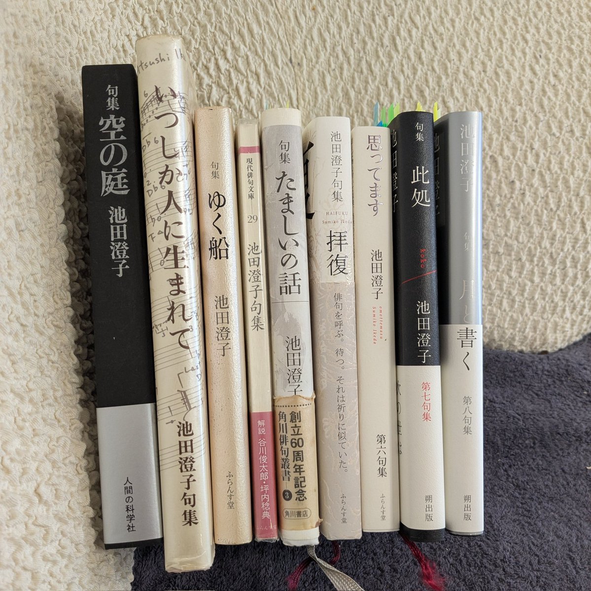 句集 池田澄子 池田澄子句集 ふらんす堂オンラインショップ | 現代俳句