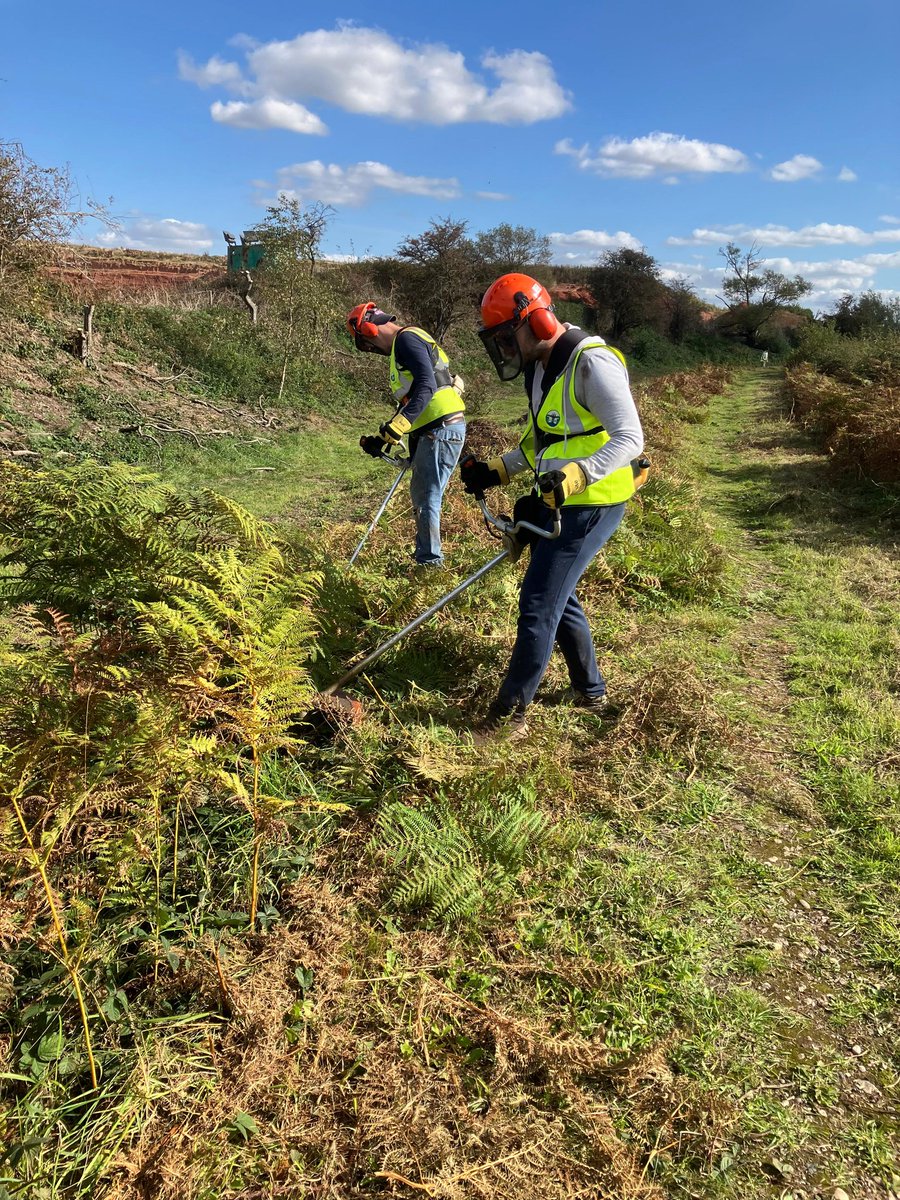 Huge thanks to three brilliant <a href="/SOCOTEC_UK/">SOCOTEC UK</a> volunteers who tackled the canal bed at Summerhill — the first time it’s been dry enough to access in ages! After lunch, they moved further along and strimmed the canal sides under blue skies. 🌿👏

Thanks #TeamSocotec
