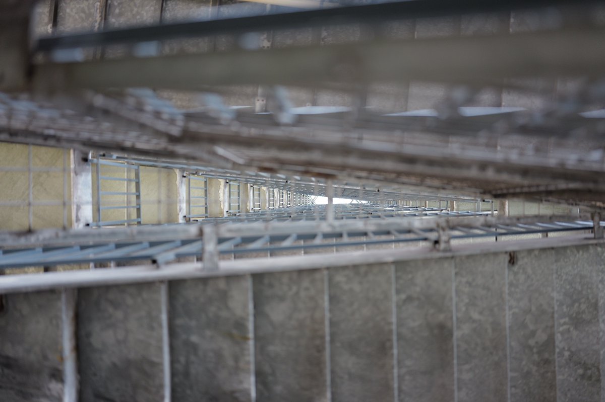 今日のおさんぽ

焼肉のち雨でした