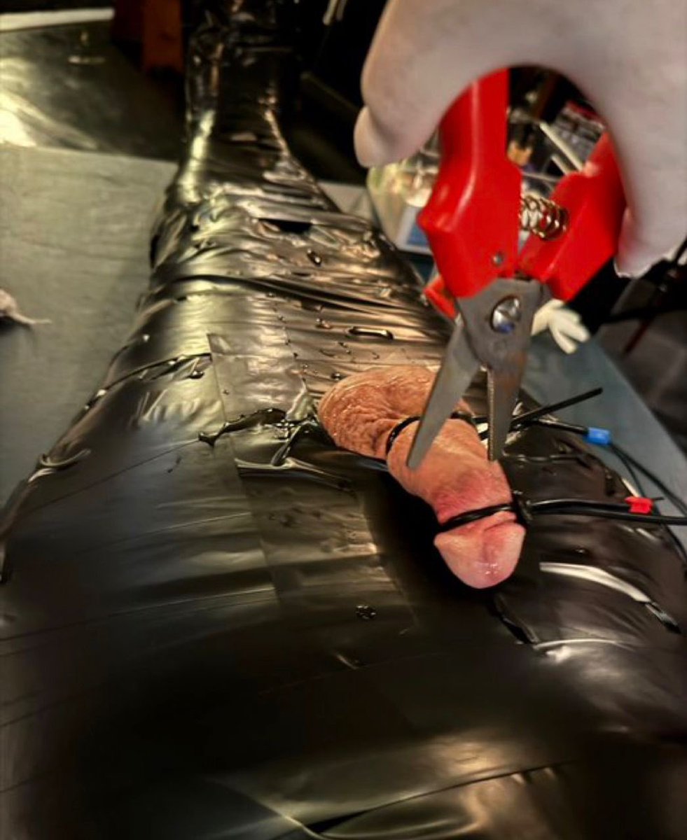 Mistress_Roseee's tweet photo. Trim time pet. Good boy mostly. One slip and snip! Who’s next for my treatment? 😈🔪 #MistressMayhem #WrappedAndTrapped #BDSMBliss https://t.co/zzVvxS173Q