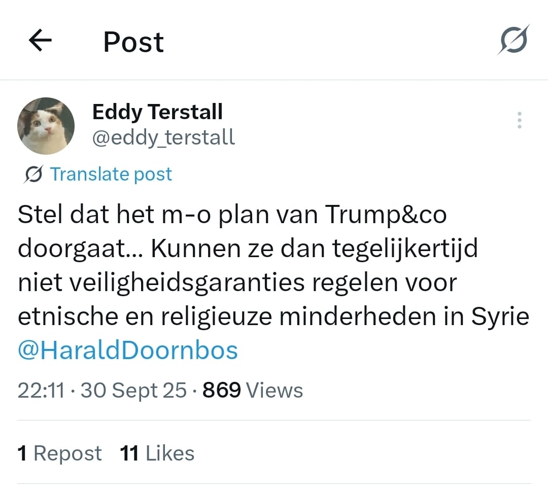 Eddy <a href="/eddy_terstall/">Eddy Terstall</a> stelde vraag. Antwoord in't kort: Er komen geen veiligheidsgaranties voor minderheden in Syrie omdat er veel belangrijkere zaken spelen. Klinkt hard, maar helaas waar. Hieronder mijn uitleg, beetje lang, maar twitter staat al vol met korte berichten.😉

Westen