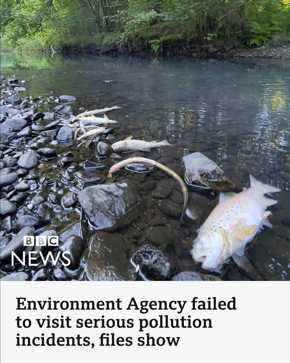 In case you missed it, here are three Save Windermere appearances last week.

We will continue to hold the water company and the regulator to account for the irreparable harm being inflicted on England’s largest lake.

Windermere should be a guiding light for freshwater