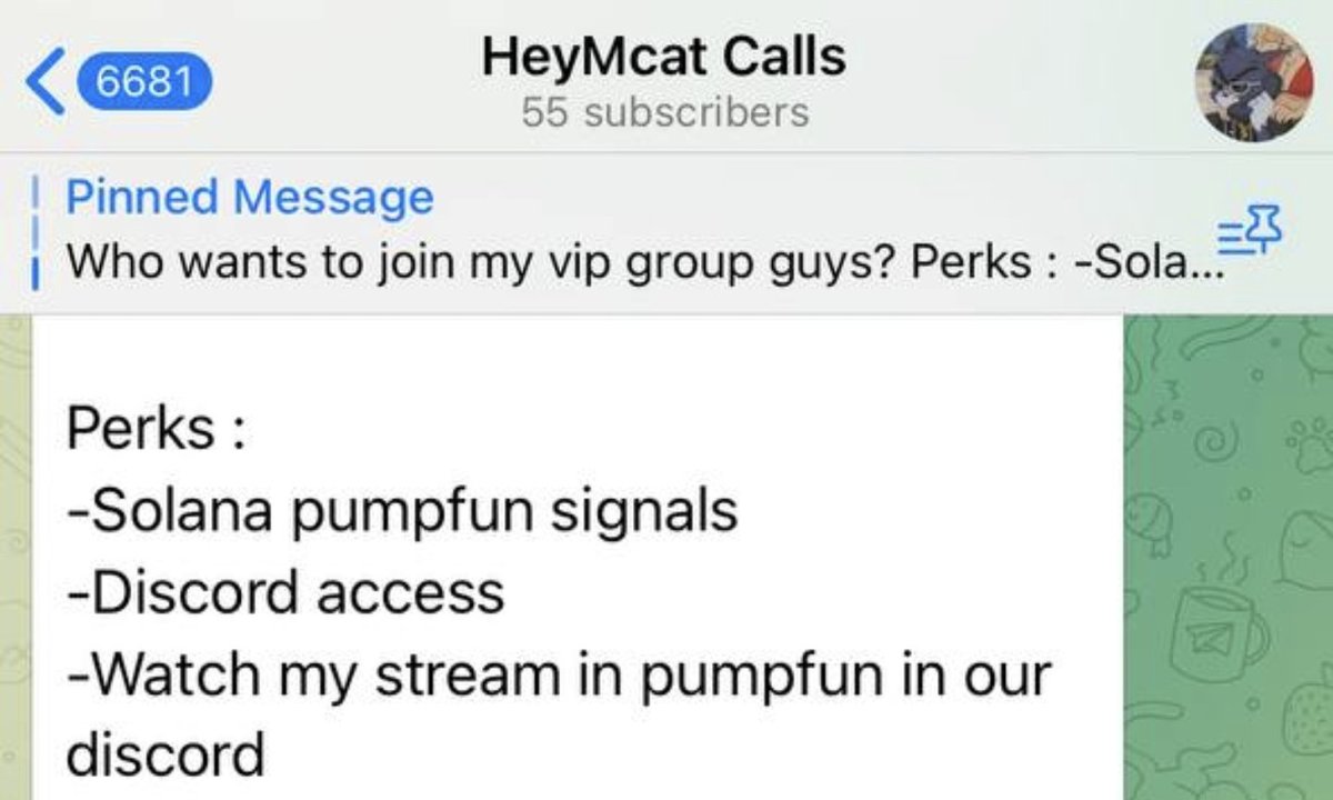 CattyWatty ×͜× tweet media