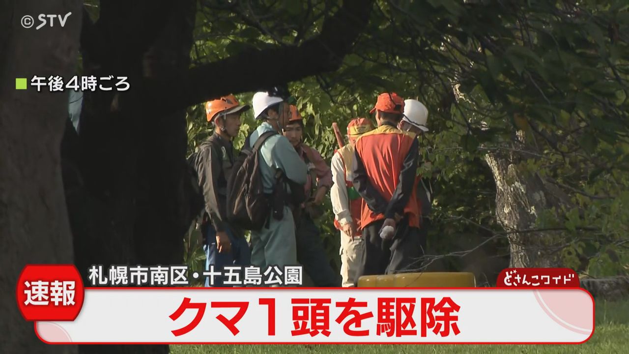 としくん (@tocktm) / X