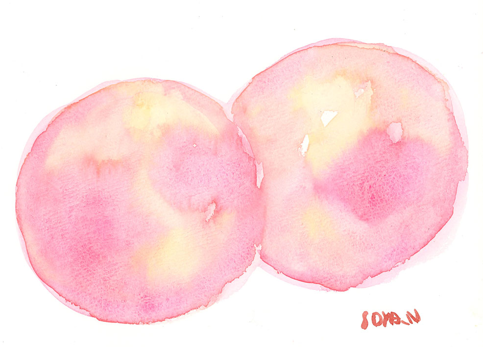 「イラストレーターめし」
昨日、福島の妻の実家から大きい桃や梨が届きました。
梨は甘くてみずみずしくてとてもおいしかったです。
桃は今日食べます。

#イラストレーターめし