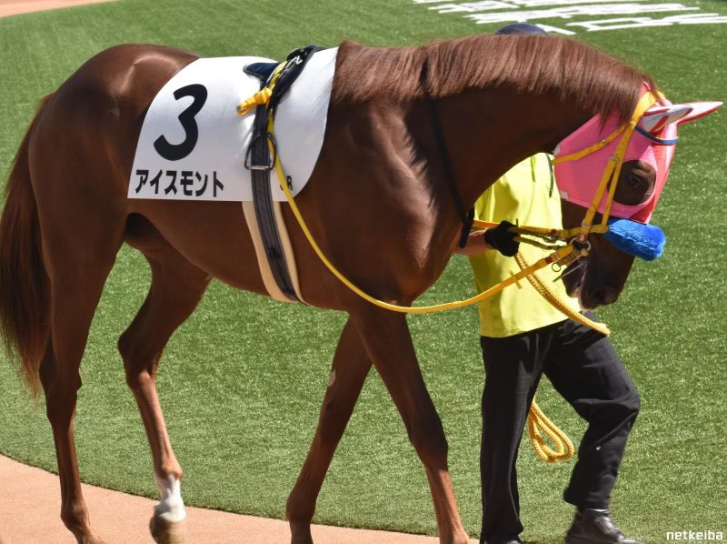 Rising Sun Syndicate 🇦🇺 tweet media