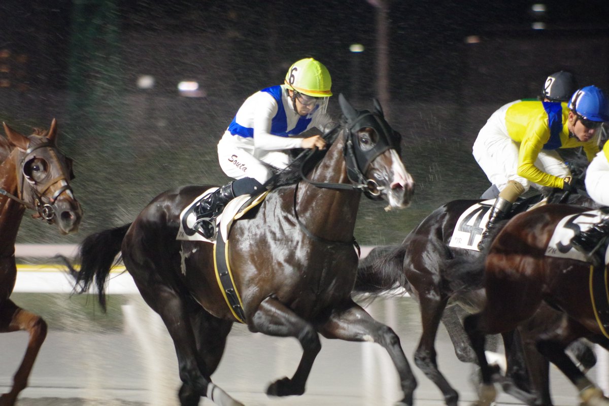 interaction_h_s's tweet photo. ブログ更新
【1年生、初めての競馬場見学！】

ブログ→https://t.co/bWni0DHOVG

＃高校
＃馬の学校
＃インターアクションホースマンスクール
＃競馬場
＃見学
＃騎手
＃厩務員
＃椿聡太 https://t.co/qxsk3MnjUo