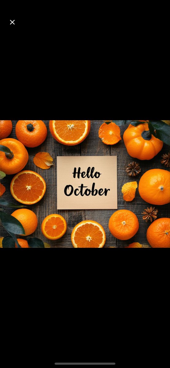 Liebling146's tweet photo. Welcome to October
A new month means a new chapter for the dynasty.
October is here, and with it comes fresh chances to build, to grow, and to prove our commitment.
Every streak continued, every badge earned, every Orange collected pushes the dynasty higher. https://t.co/dkamQquZyr