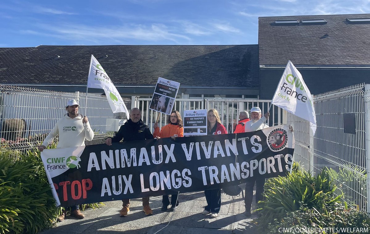 Eurogroup For Animals tweet media