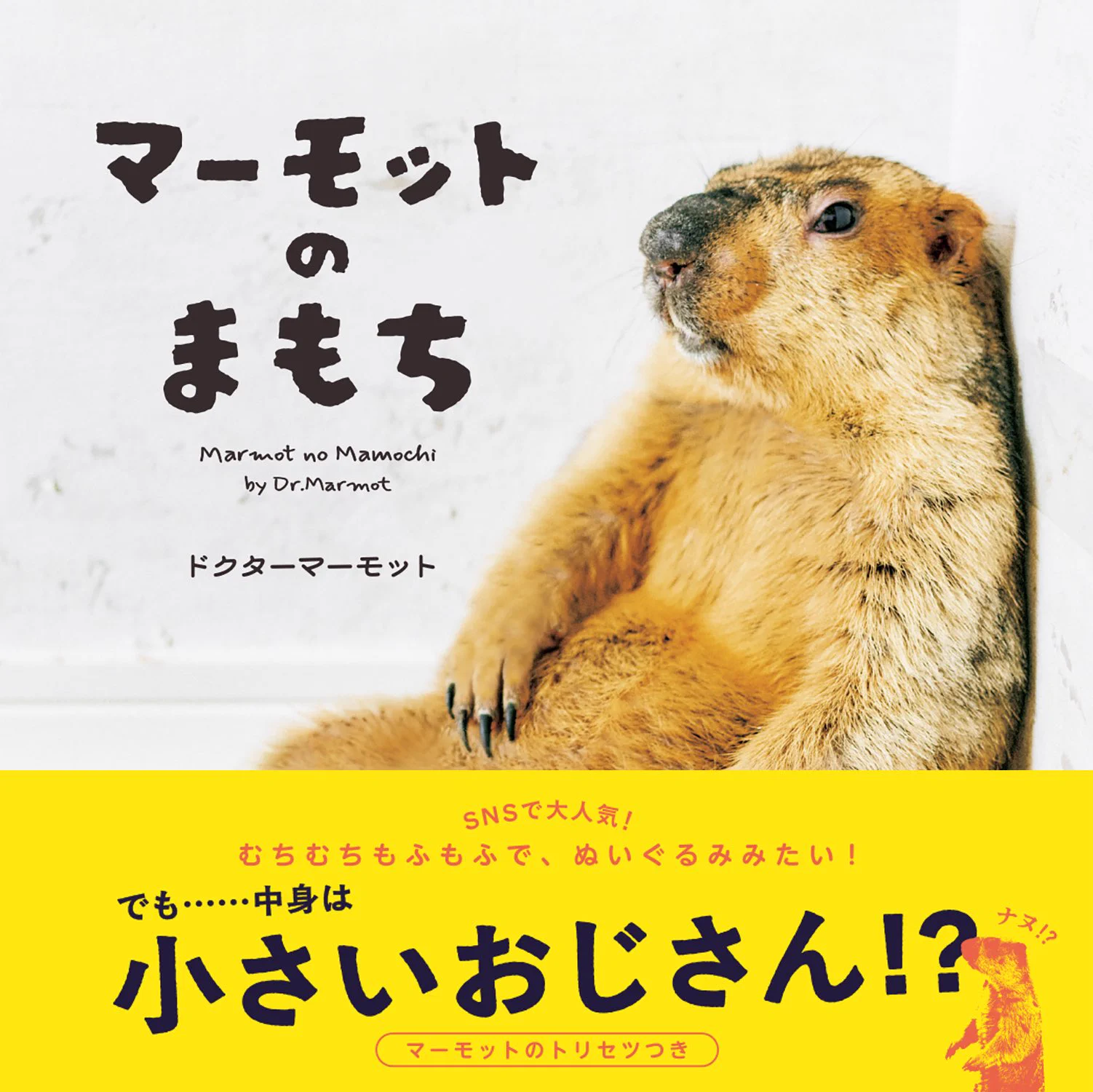 ドクターマーモット on X: 