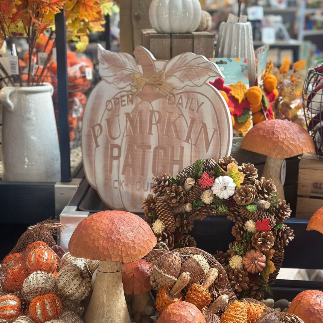 Step into an autumnal 'happy place' inside our Garden Shop &amp; Plant Centre. With exquisite gifts and delightful treats for everyone, indulge in a little self-care or share the joy with loved ones.
#SussexShops #GardenShop #GiftIdeas #Autumn