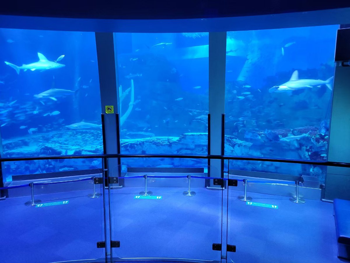 貴重　炭治郎の遥かなる時空の中で　八景島限定 サントリー×鬼滅の刃 対決ボトル2025｜全14種キャラ一覧＆発売情報