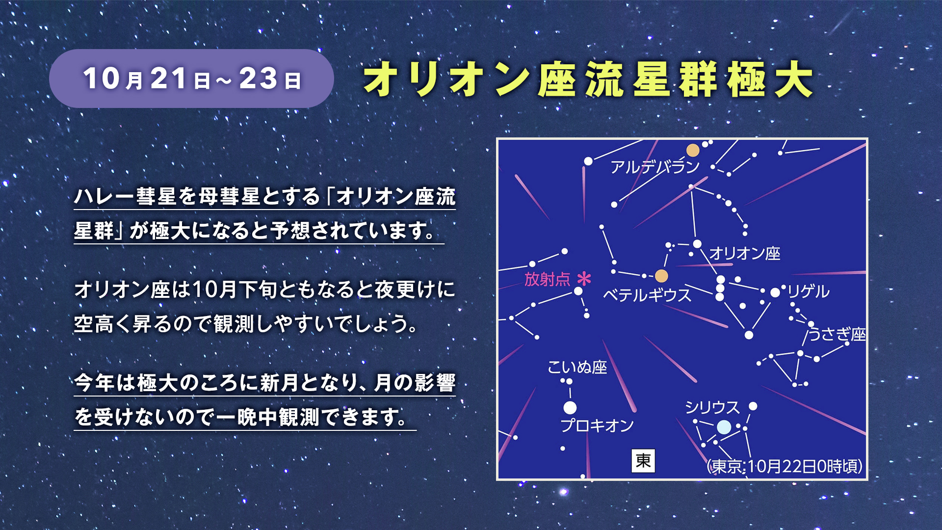 Kenko Tokina【公式】 on X: 