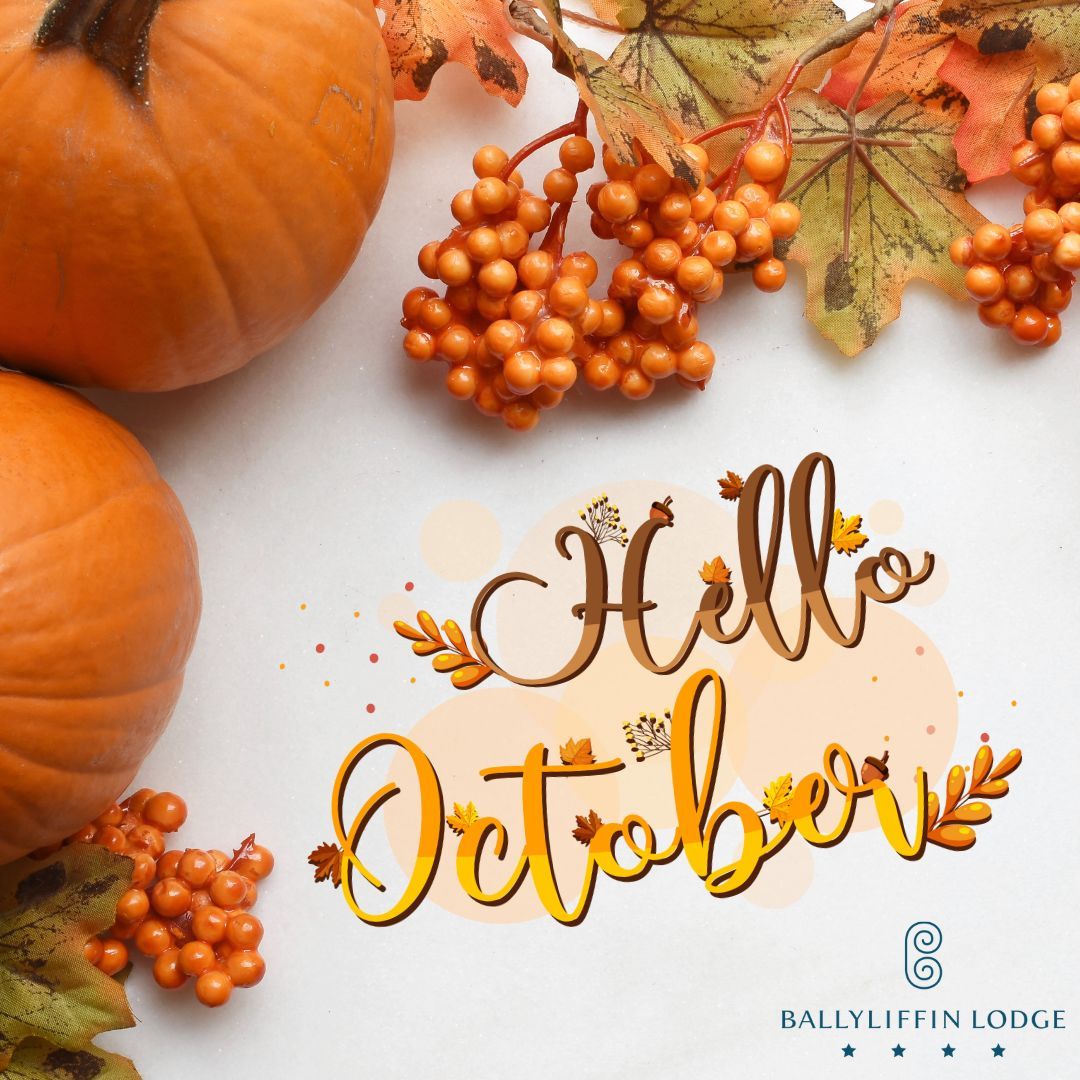 Nice to welcome you! 
#October