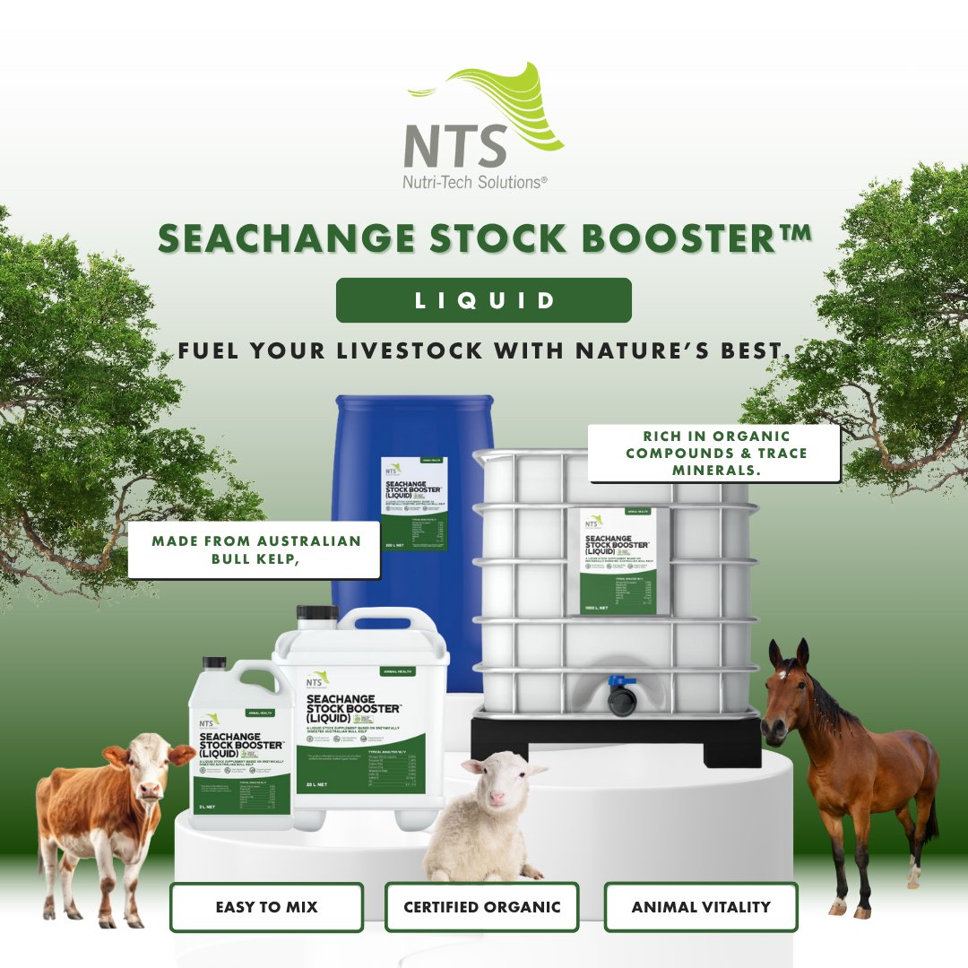 ntsaustralia's tweet image. Stronger, healthier livestock starts here! 🐄🐑
SeaChange Stock Booster™ delivers mineral-rich goodness from Australian Bull Kelp to support vitality &amp;amp; health.

👉 Buy now: nutri-tech.com.au/collections/an…

#SeaChange #StockBoosterLiquid #NaturalAnimalHealth #LivestockCare