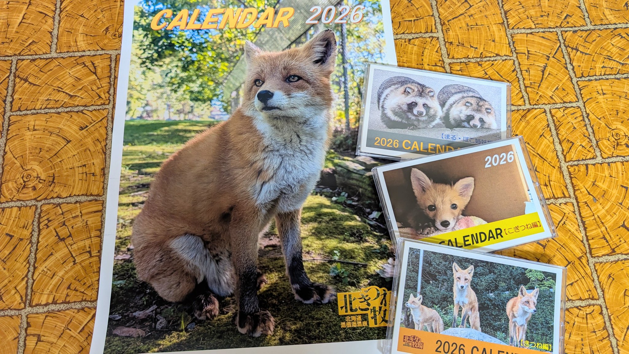 キツネ　即購入OK 北きつね牧場【公式】 on X: 