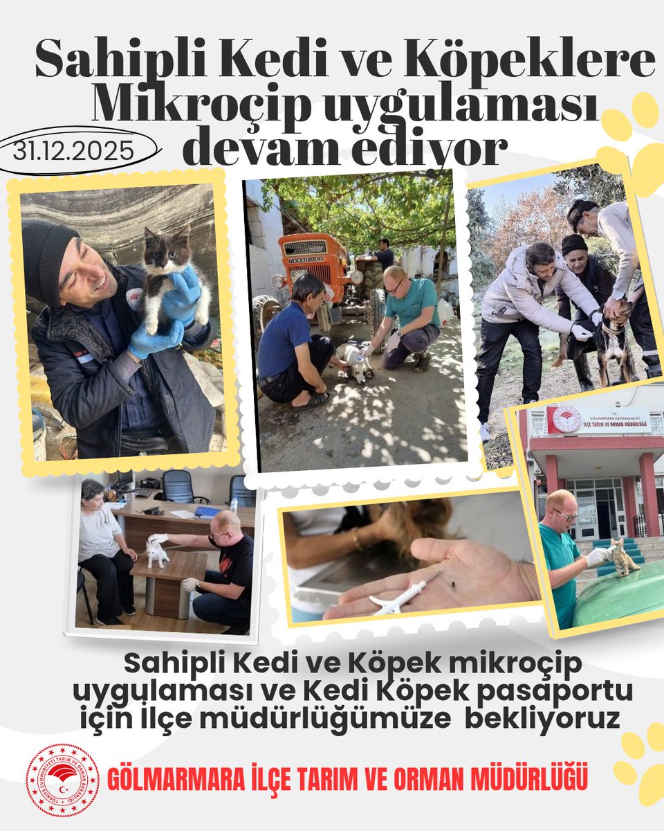 Sahipli Kedi ve Köpek mikroçip uygulaması ve Kedi Köpek pasaportu için İlçe müdürlüğümüze bekliyoruz🐈‍⬛🐕🧿📣
<a href="/ibrahimyumakli/">İbrahim Yumaklı</a> <a href="/TCTarim/">T.C. Tarım ve Orman Bakanlığı</a> <a href="/mkarayilan27/">MANİSA TARIM VE ORMAN İL MÜDÜRÜ</a> <a href="/TarimManisa/">Manisa İl Tarım ve Orman Müdürlüğü</a> #manisa #gölmarmara