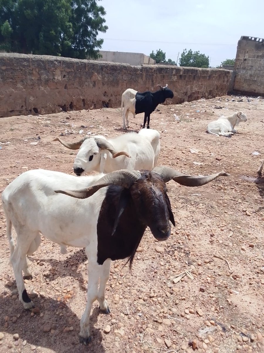 Available as seen 
350k