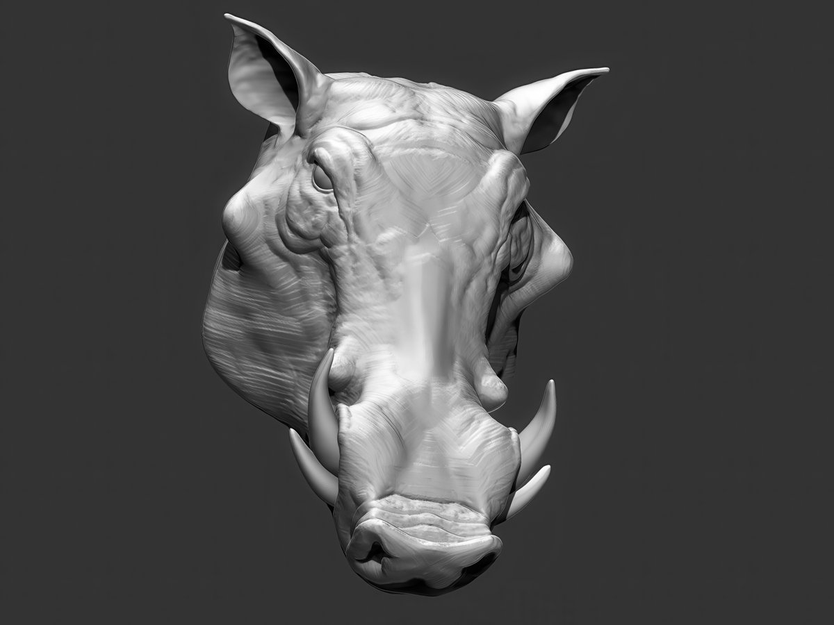 MitsArt3d's tweet photo. How are you, gentlemen artists? And I will share with you #references and images on sculpting #Anatomy #Animals Pack №31 #3d #gamedev #3dart #hand #modeling #3DModel #sculpting #leg #dog #gameart #zbrush #horse #snake #ecorche #sculpture #muscles #chest #ears #neck #cat https://t.co/wlJGoNvnkC