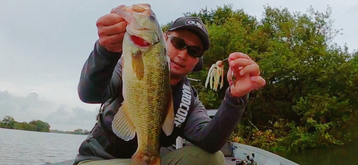 NAGANO_Fishing's tweet photo. 雨天午後練！

昨日スーパーでクリスマスケーキ予約開始のチラシを見たんですよ。
そしたら鳥ナベのクリスマスカラー投げるしかないじゃないですか。

#BackBOSS
#鳥ナベ
#2024クリスマスカラー
#水が混ざったらスピナーベイト https://t.co/iAcTzNwunf