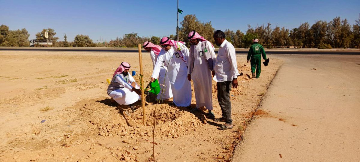 abuajramUN's tweet photo. استكمالاً  لأعمال مبادرة #الجوف_واحة_خضراء في موسمها الثالث عشر و مبادرة #السعودية_الخضراء 
تواصل بلدية ابو عجرم زراعة  الأشجار  والشجيرات في الطريق المؤدي الى مقبرة الاضارع حسب الخطه المعتمدة بمشاركة منسوبي وعمال مكتب خدمات الاضارع. https://t.co/Pu6nLizbJd