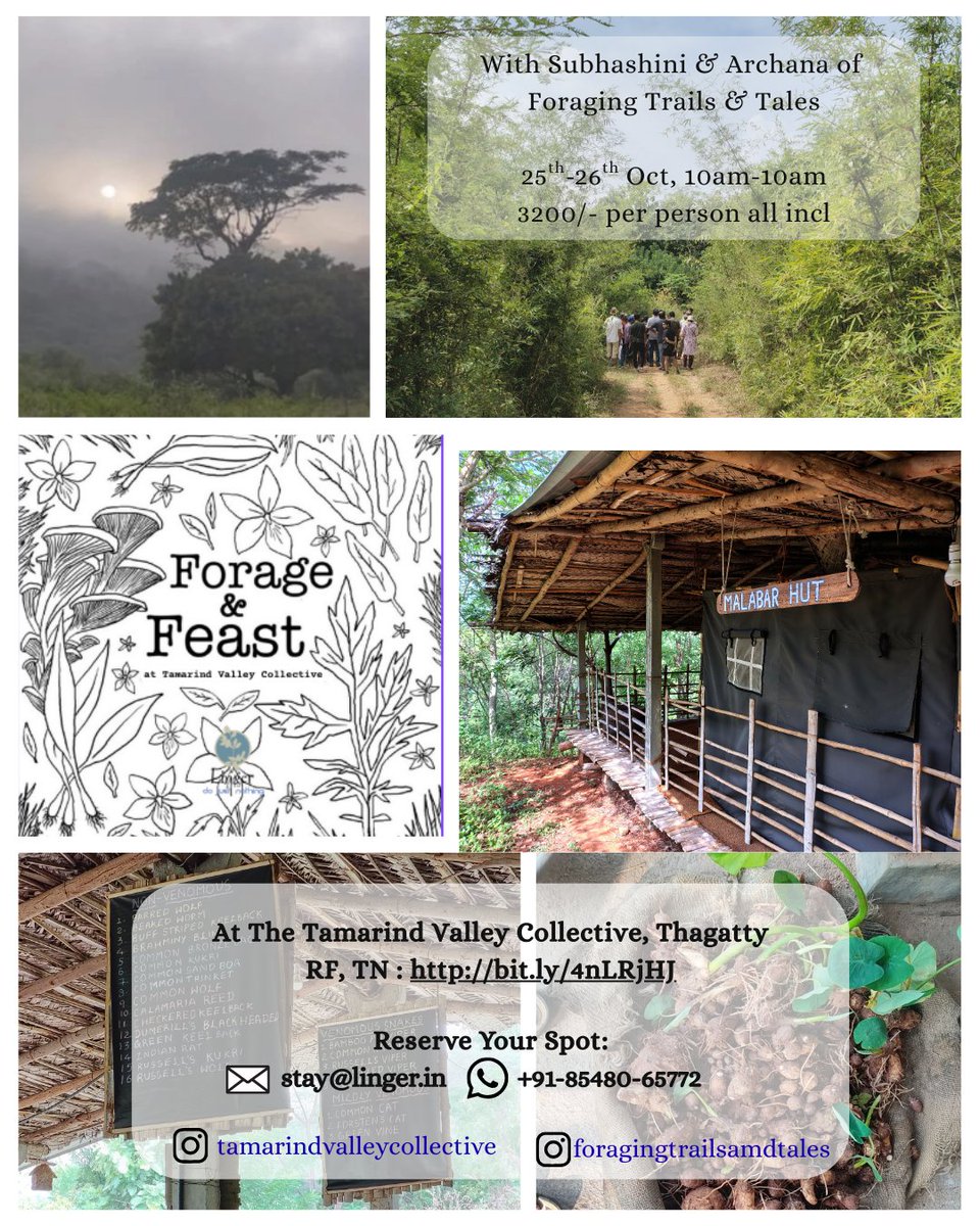 do nothing vacations tweet media