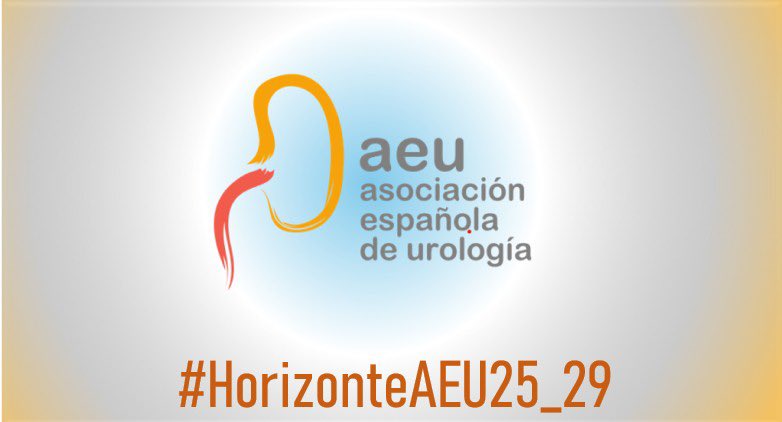 🔵 Presentamos #HorizonteAEU25-29
La nueva estrategia de la @aeu_es que transformará la urología 🇪🇸 : ✅ Patrimonio científico ✅ Humanización asistencial
✅ Innovación digital ✅ Liderazgo participativo

Un proyecto vivo que construimos entre todos.
👉 aeu.es/NotasPrensa.as…