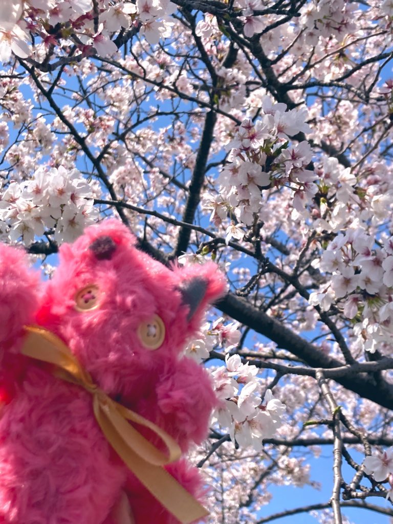 いつもいいね、RPありがとうございます✨
ハンドメイドでぬいぐるみを製作、販売しておりますcorocoと申します😊❣️

近頃は慣れないものを製作していたりと更新がスローペースではありますが元気です🎉

よろしくお願いいたします☺️💕

 #10月になったのでフォロワーさんに自己紹介しようぜ