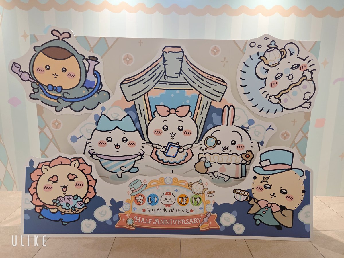 #ちいぽけハーフアニバーサリー