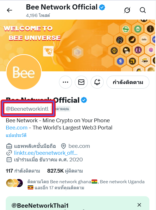 BEE Network Thailand 🇹🇭 (@BeeNetworkThai1) / Posts / X