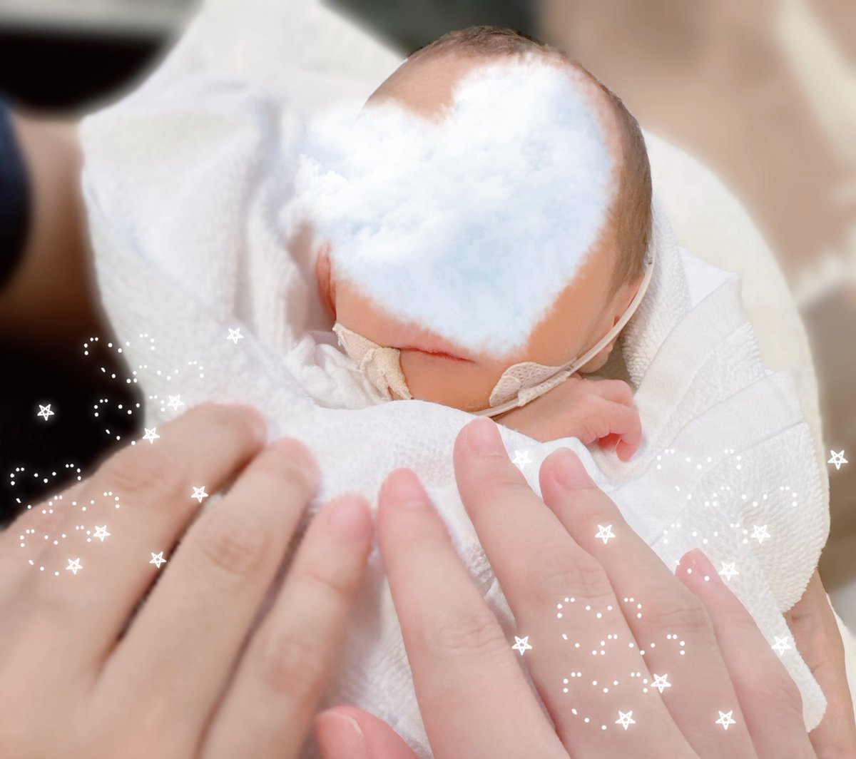 もっちゃん🌷 (@_______mochan) / Posts / X