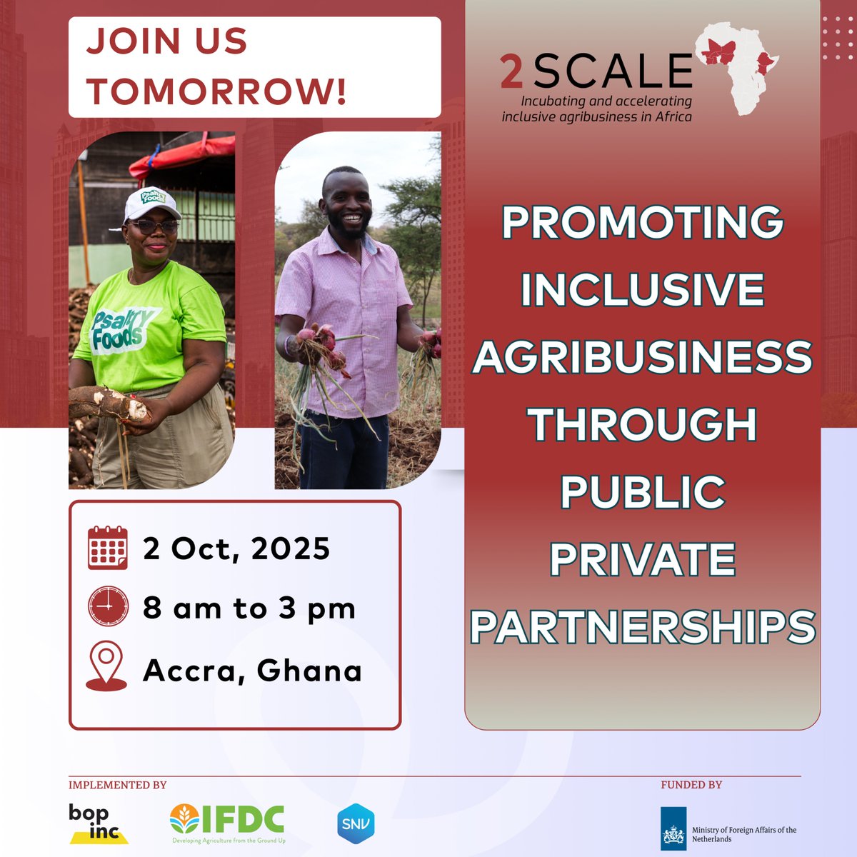 SCALE_2's tweet photo. Join us tomorrow for the 2SCALE Close-Out Event in Ghana 🇬🇭 under the theme:
“Promoting Inclusive Agribusiness through Public–Private Partnerships.”
📅 Oct 2, 2025 | 📍 Accra
🎥 Watch live: https://t.co/F0v0aNKJE3
#2SCALEImpact #FoodSystems #Ghana
@Bopinc @IFDCGlobal @SNVworld https://t.co/lOWBtZQobd