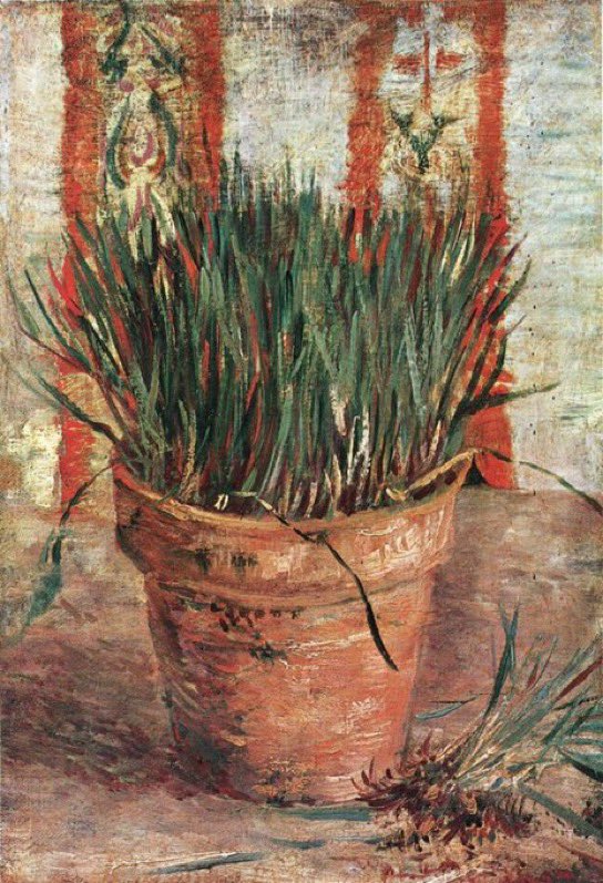 allontanarsio's tweet photo. Vincent van Gogh's vases of flowers https://t.co/ZxhEpqwclO