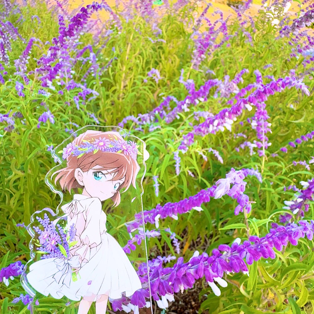 バルーン哀ちゃんを
いい感じに撮りたくてお出かけ🎈🌸🪻