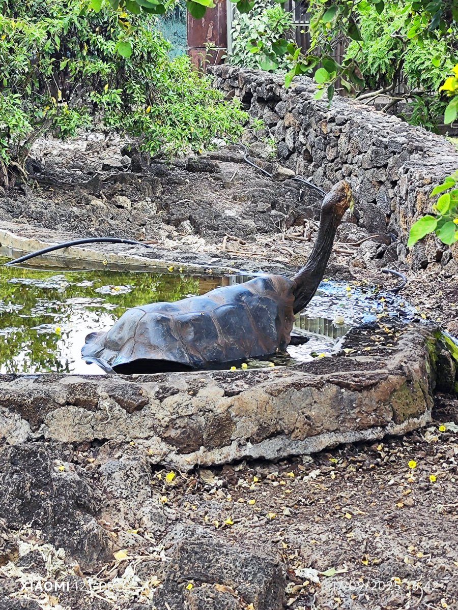 Adaptació a la necesitat d'alimentació