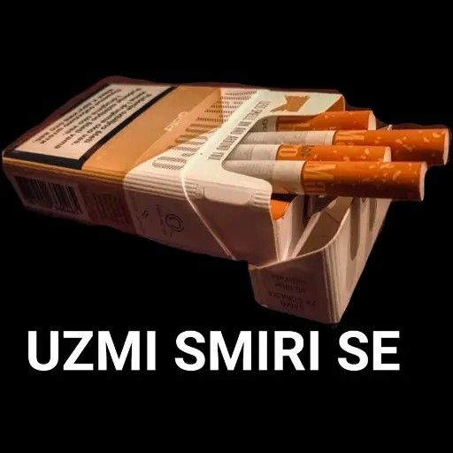 _trapjeziv_ tweet media