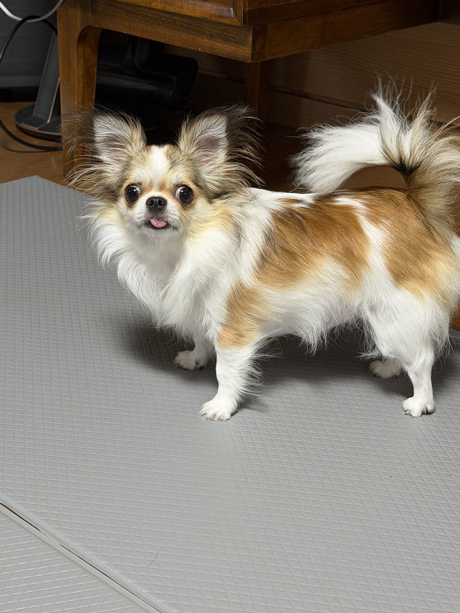 .                                                        봉쑥!