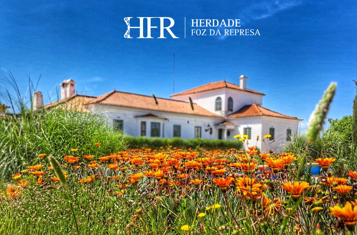 HerdadeFozdaRep's tweet image. Enjoy the Alentejo Countryside 

HerdadeFozDaRepresa.com 
Herdade Foz da Represa keeping Style &amp;amp; Tradition together 

#Alentejo #Experience