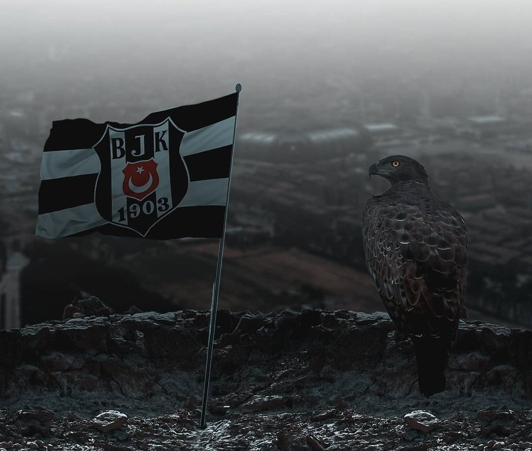 Beşiktaş Dünya'nın en gelişmiş şehirlerinde de, köşede kalmış köhne bir kasabada da oynasa illa ki peşinden birileri gider. Londra'da da, Darıca'da da,Hakkari'de de mutlaka Beşiktaş atkısı açılır. Beşiktaş;semtinin sınırlarını aşmış bir kulüptür,dengimiz olmayanla muhatap olmayız