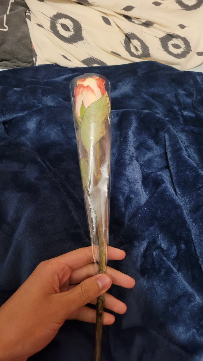 La dernière fois avec une pote on parlait de la stat que la moitié des hommes reçoivent des fleurs pr la première fois à leur enterrement
Ma pote me demande si j'en avais déjà reçu et g dit nn
Dcp hier elle m'en a offert une merci à elle 🙏