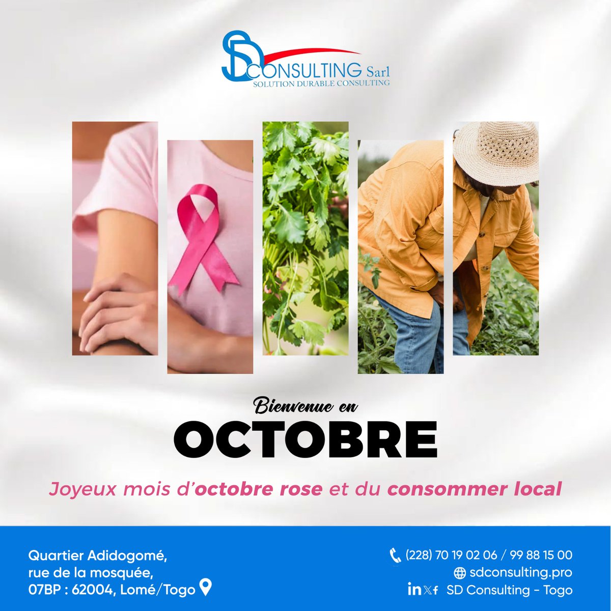 sd_togo's tweet photo. 🎀 Bienvenue en octobre !

Un mois qui nous rappelle deux engagements forts :

✨ Octobre rose : sensibiliser, prévenir et soutenir la lutte contre le cancer du sein.
🌱 Consommer local : valoriser nos producteurs et renforcer l’économie de proximité. https://t.co/w67dfBkrxv