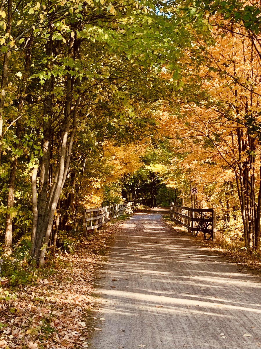 La beauté de la lumière d’automne de fin de journée 😎🚴‍♂️ #Photographie #automne #photograghy #velo