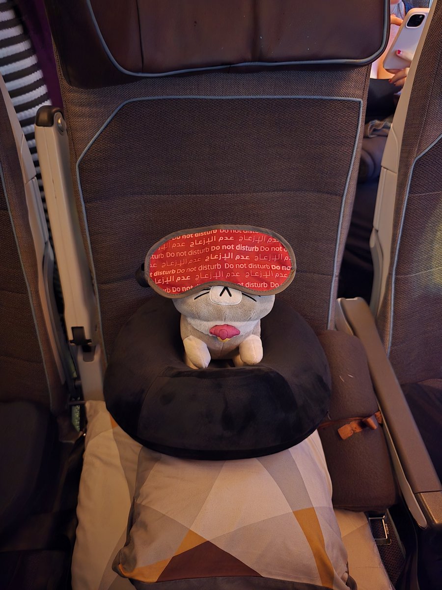 As you know,  every Princess needs her beauty sleep 😴

Thank you #Japan for a wonderful journey.  Hope to come back soon and see more of your beautiful country and people.  

#AbuDhabi, I'm coming home!