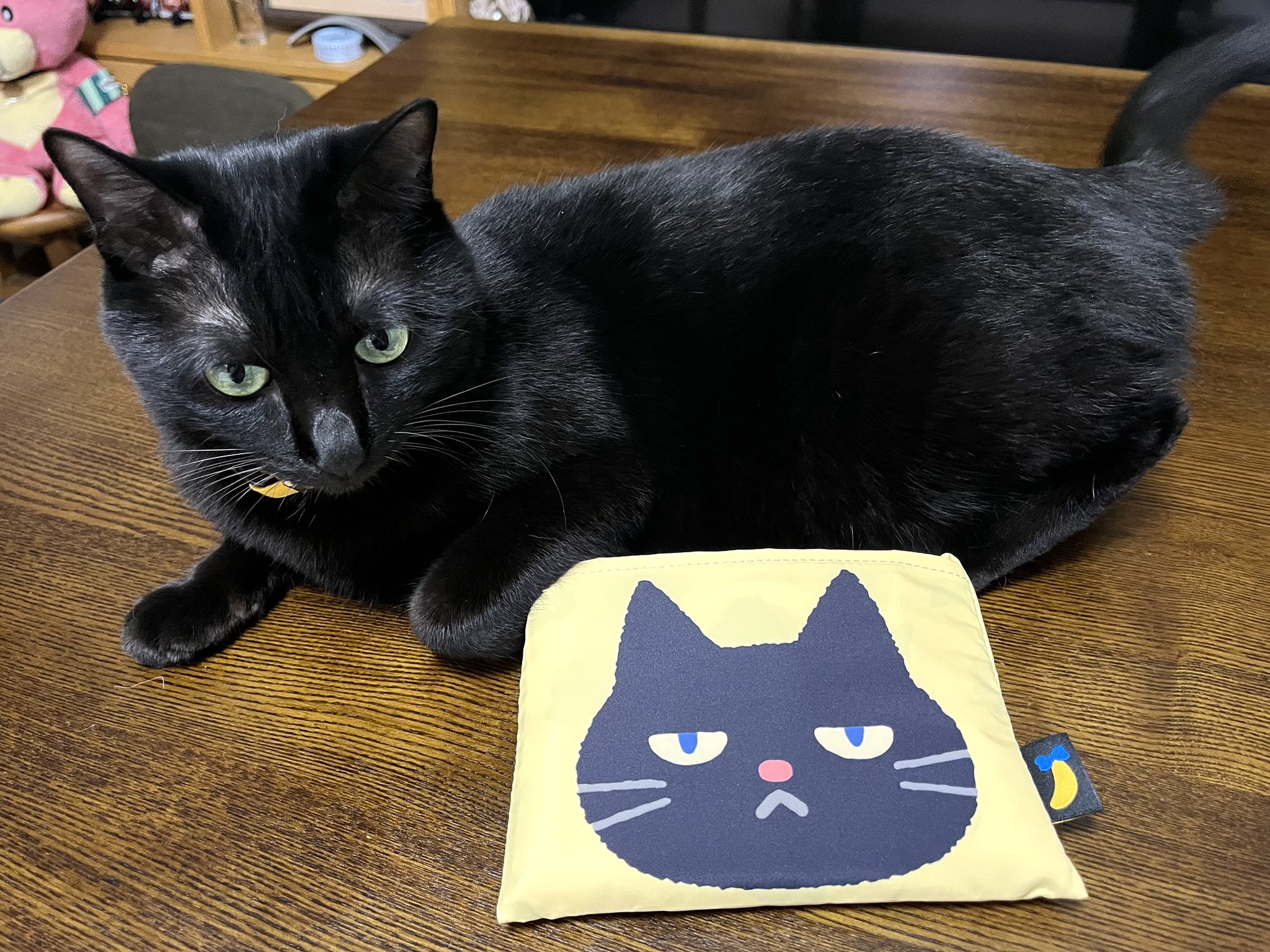 黒猫 東京ばな奈【公式】 on X: 